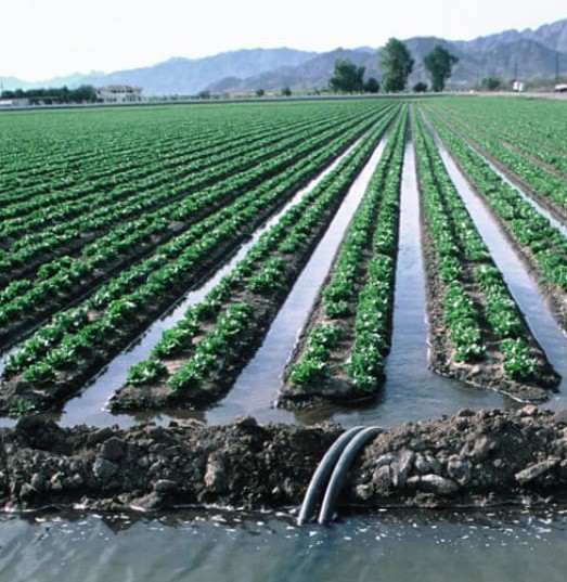 Precision GNSS terrain and earthwork survey